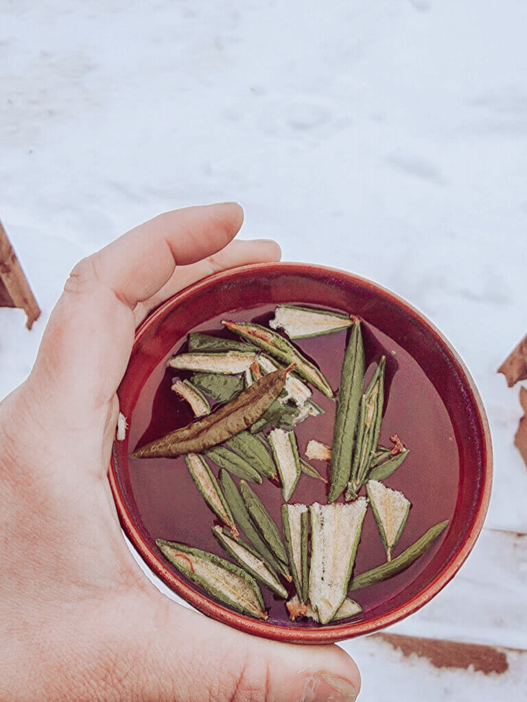 Infusion dorée de thé du Labrador dans une tasse, feuilles entières visibles
