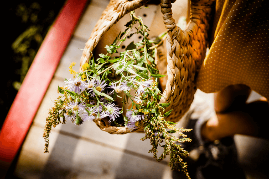 Panier de fleurs sauvages fraîchement cueillies : asters et verge d'or