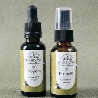 Concentré de propolis en flacon compte-gouttes et en vaporisateur, sur fond vert-gris, Symbiose Herboristerie