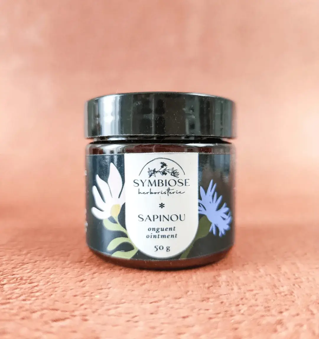 Onguent d'hiver Sapinou en pot de 50 g sur fond terracotta, Symbiose Herboristerie