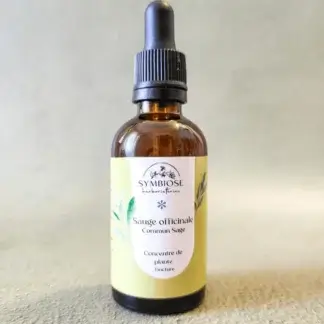 Concentré de sauge officinale en flacon ambré avec compte-gouttes, sur fond vert-gris, Symbiose Herboristerie