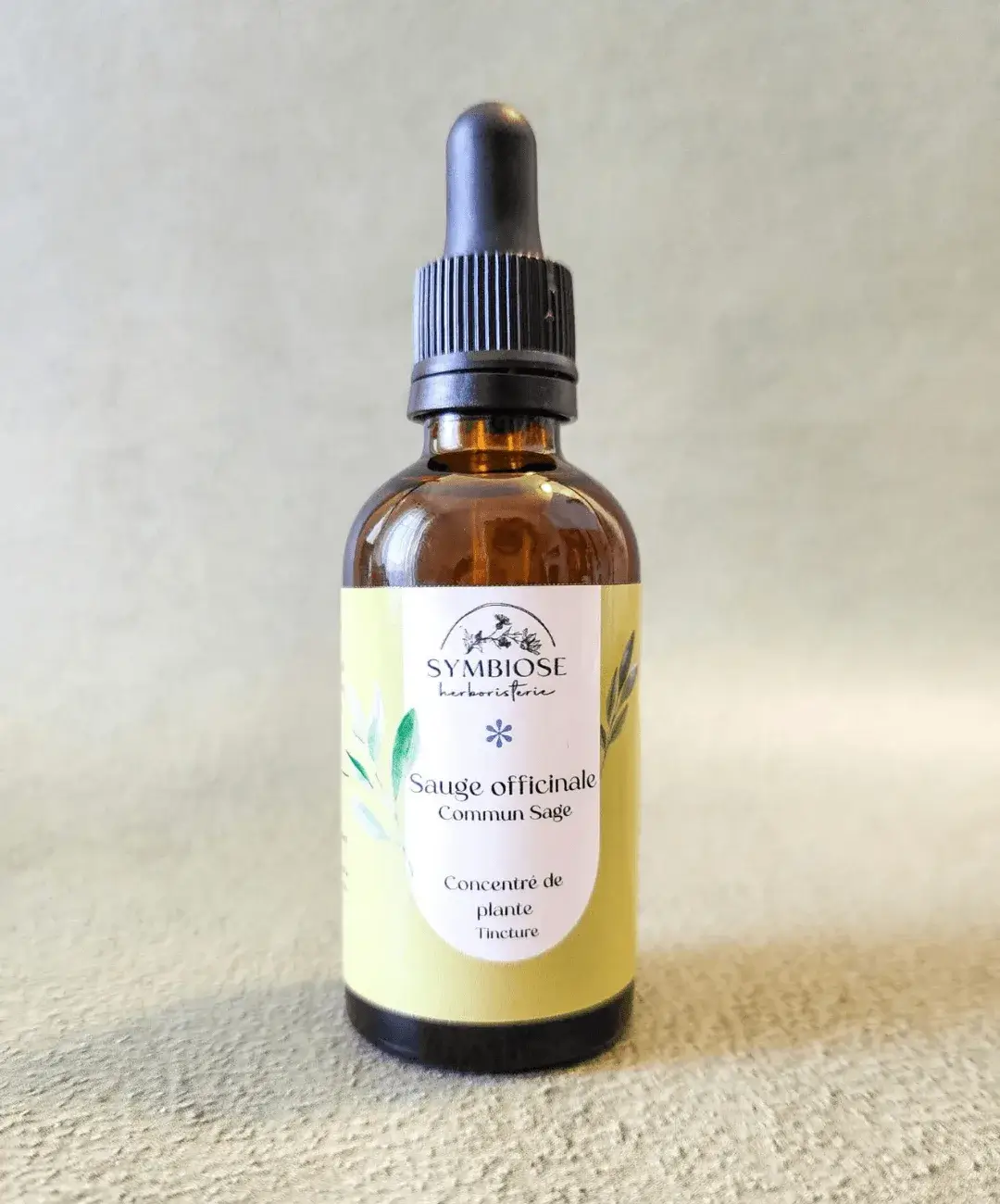 Concentré de sauge officinale en flacon ambré avec compte-gouttes, sur fond vert-gris, Symbiose Herboristerie
